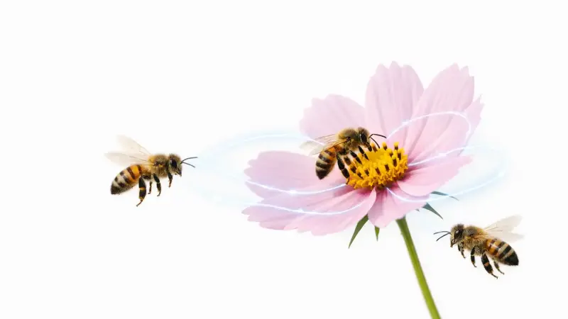 How honeybees feel a flower’s electric whisper