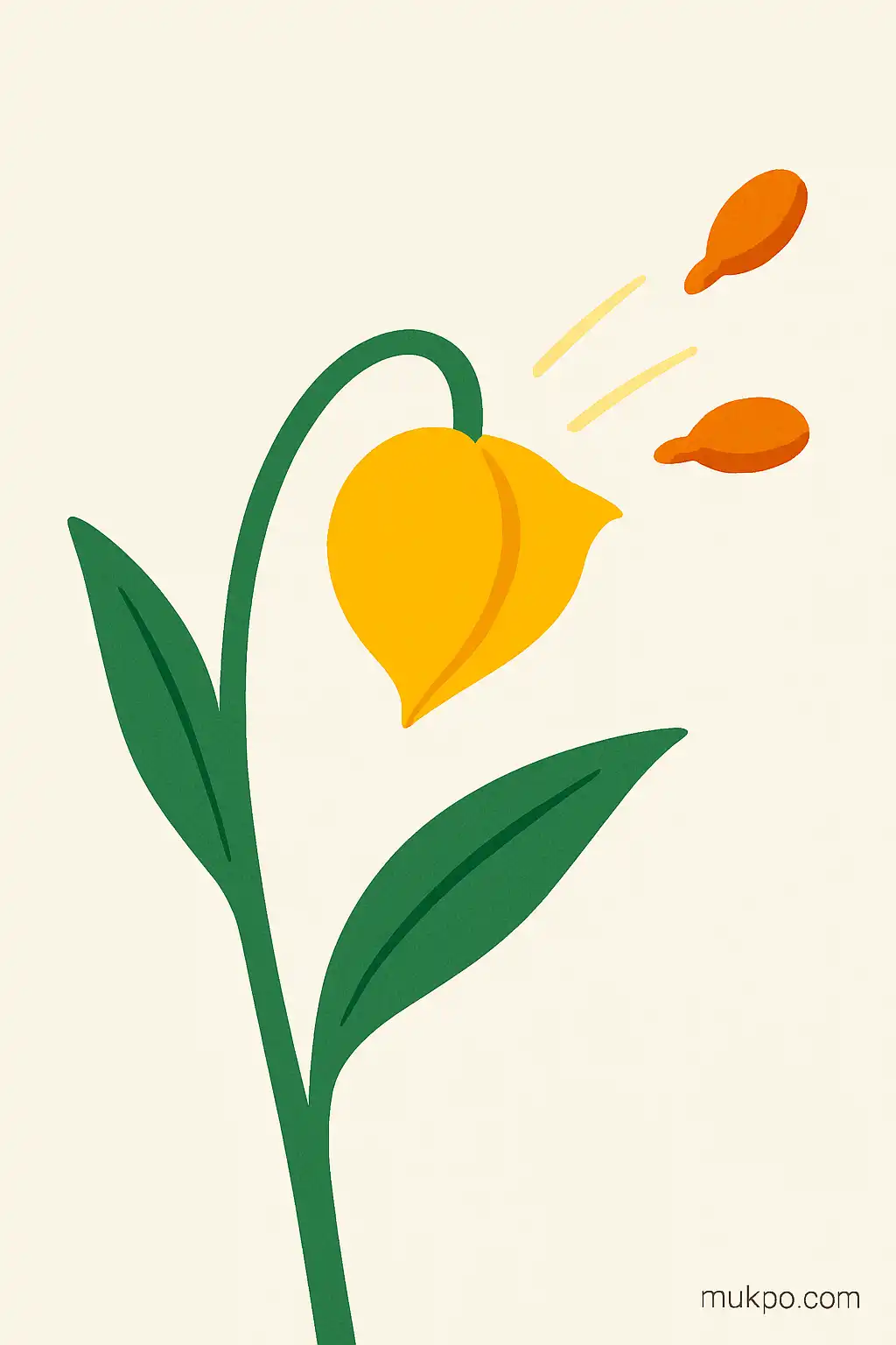 Plants that fling seeds: the mechanics of botanical catapults