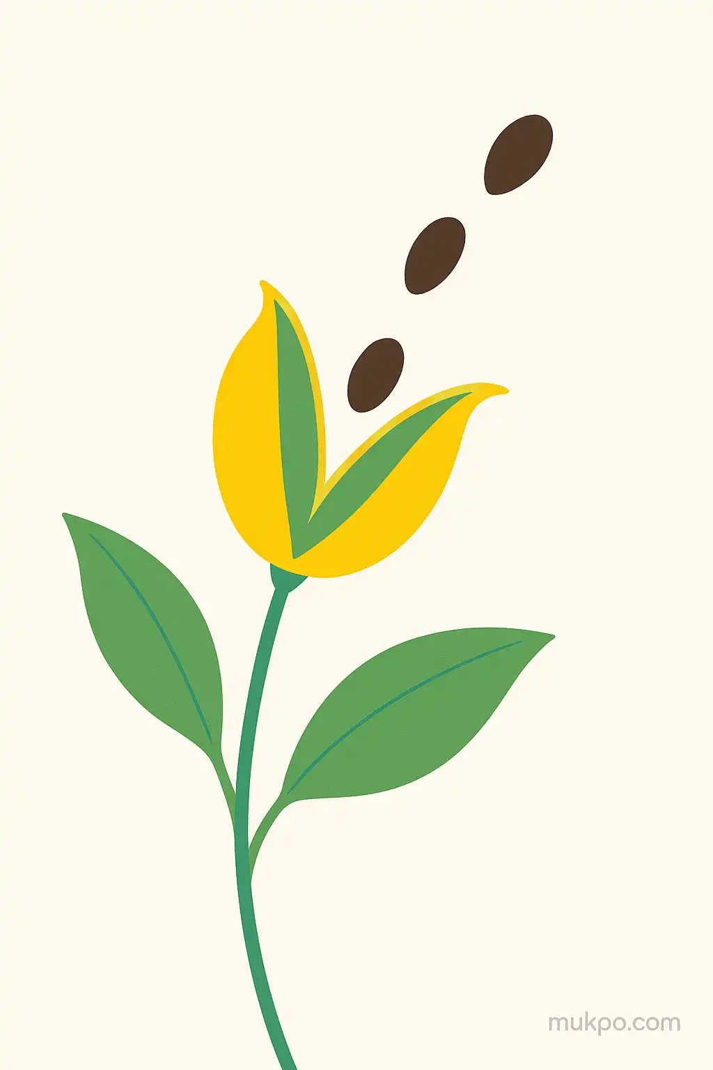 Plants that fling seeds: the mechanics of botanical catapults