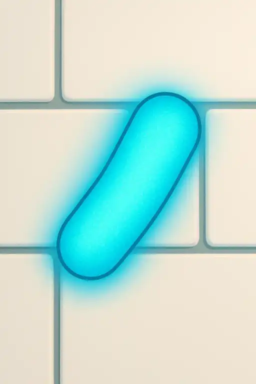 The bacterium in subway tiles that glows under blue light