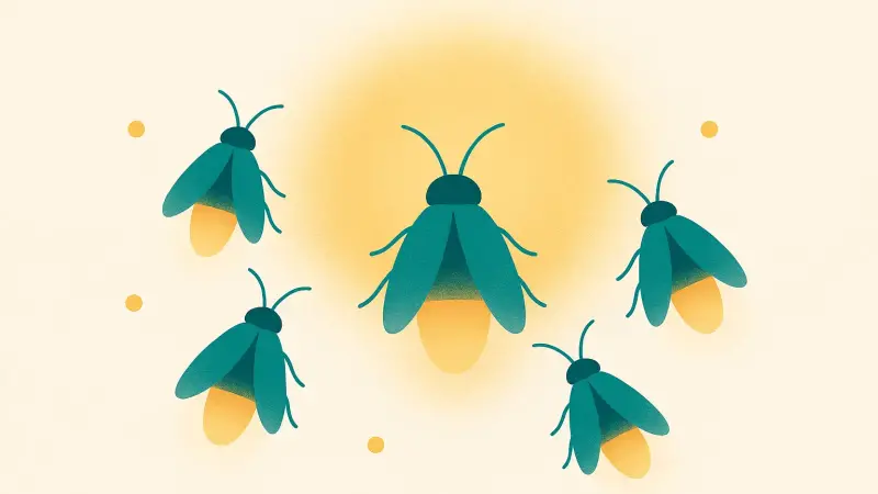 When fireflies flash together: the physics of synchronized light