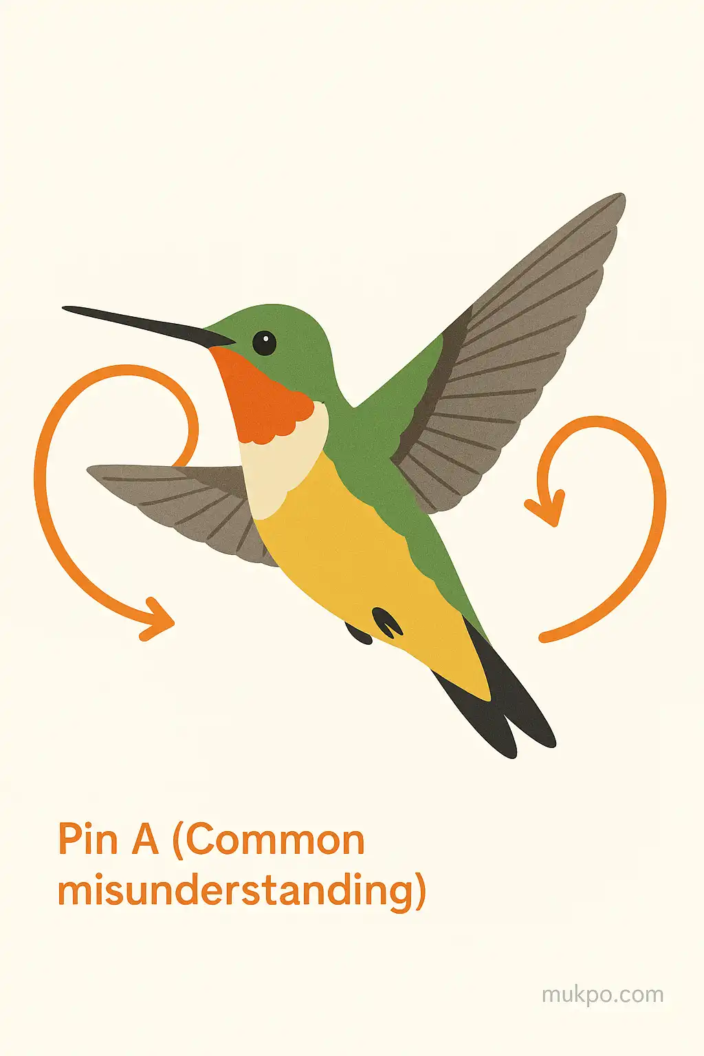 Why hummingbird wings create tiny vortices that aid hovering